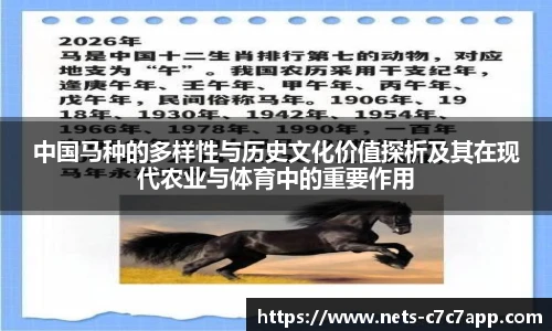 中国马种的多样性与历史文化价值探析及其在现代农业与体育中的重要作用