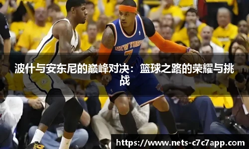 波什与安东尼的巅峰对决：篮球之路的荣耀与挑战